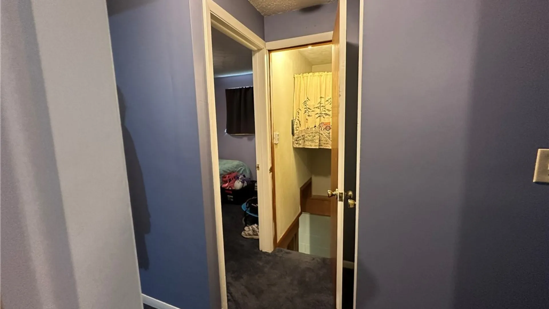 Property at 25 Burnham Place, Stockton, NY 14718 27