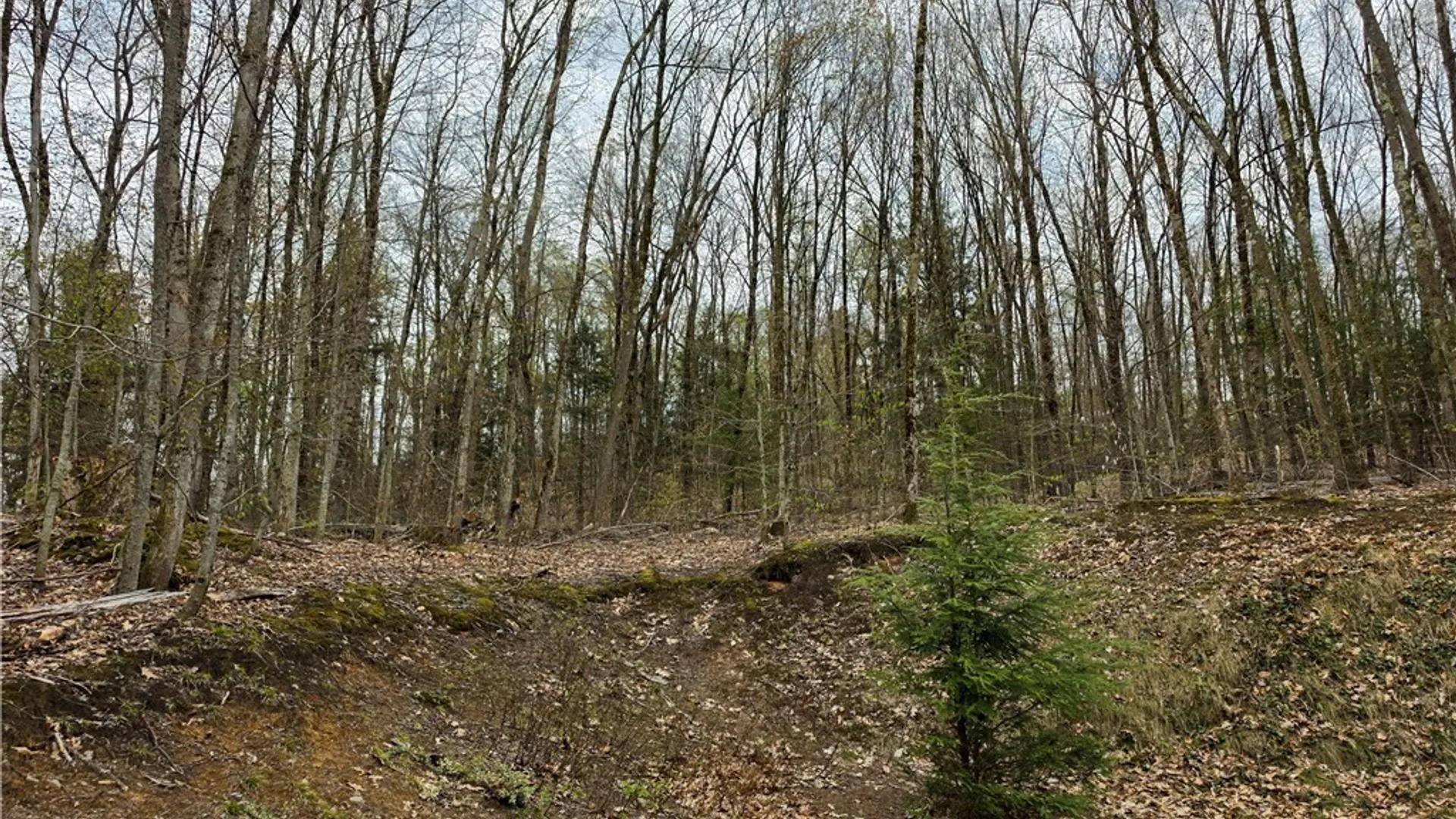 Property at 3210 Forward Road, Annsville, NY 13308 31