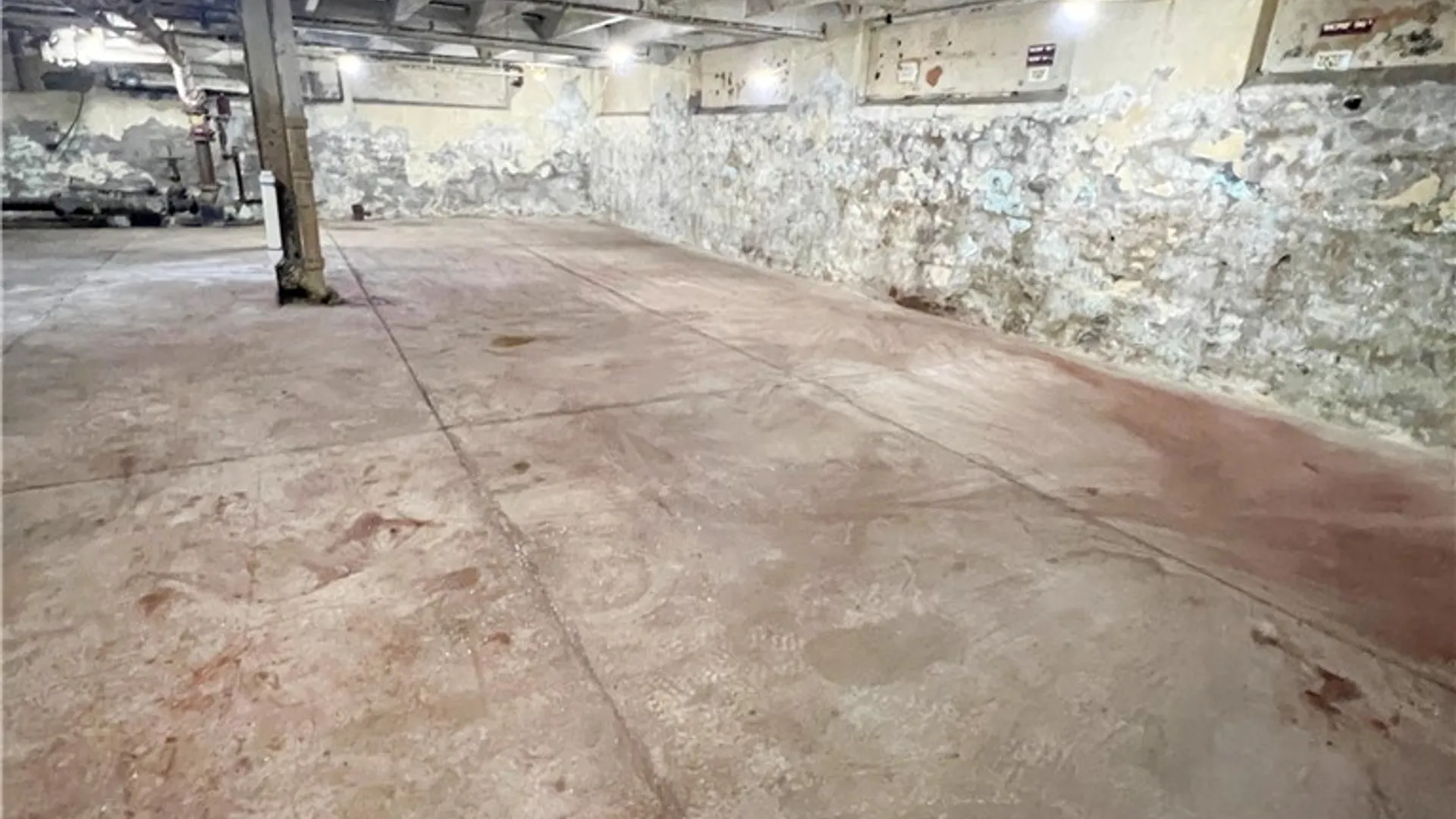 Property at 1350 St Paul Street, Rochester, NY 14621 32