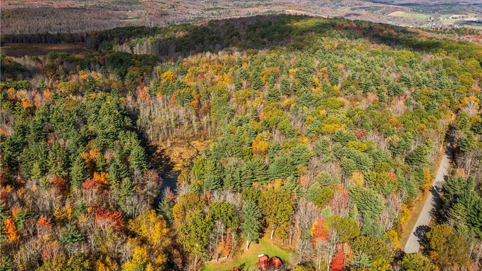 Property at 1063 Shaver Road, Harpersfield, NY 13786 27