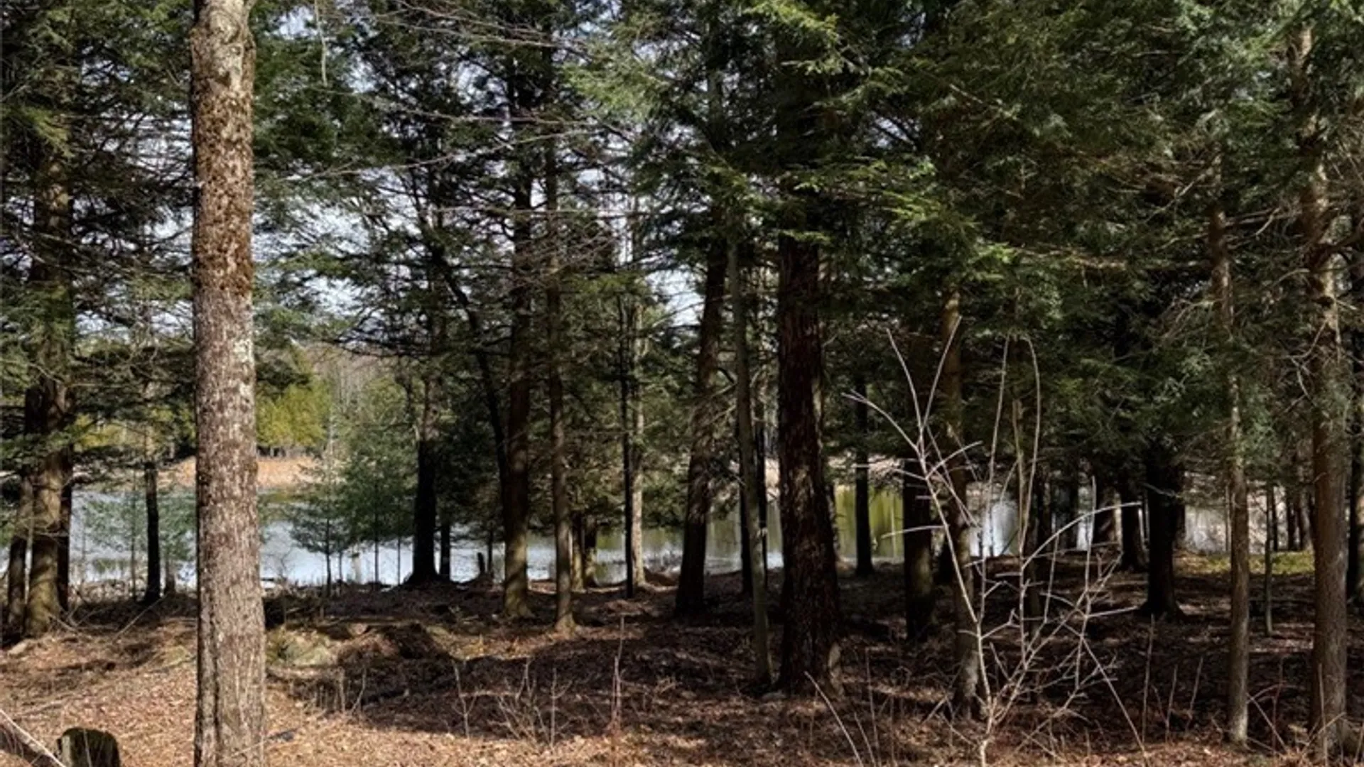 Property at 29 Forbes Road, Russell, NY 13684 7