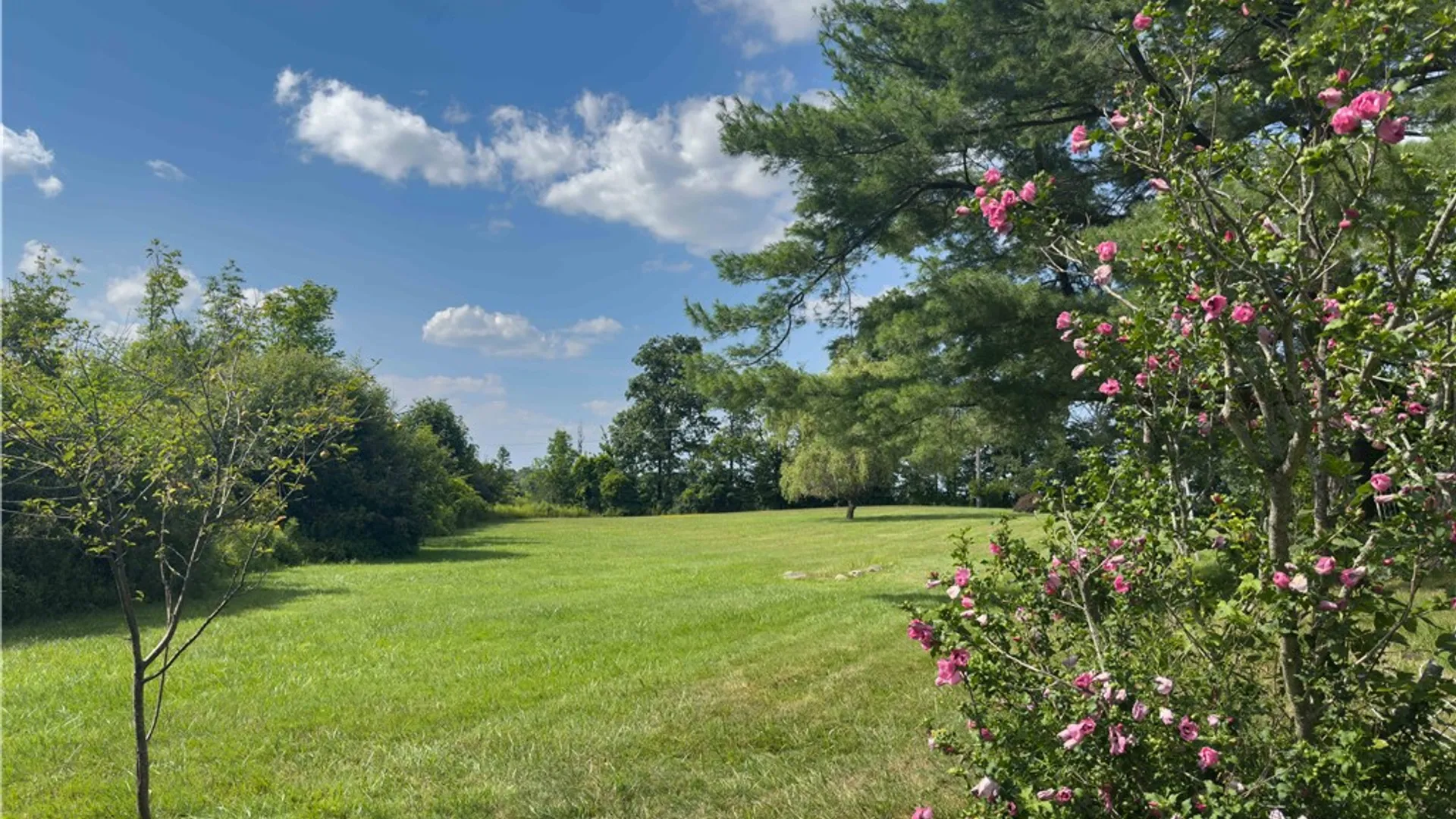 Property at 181 Iradell Road, Ithaca Town, NY 14850 44