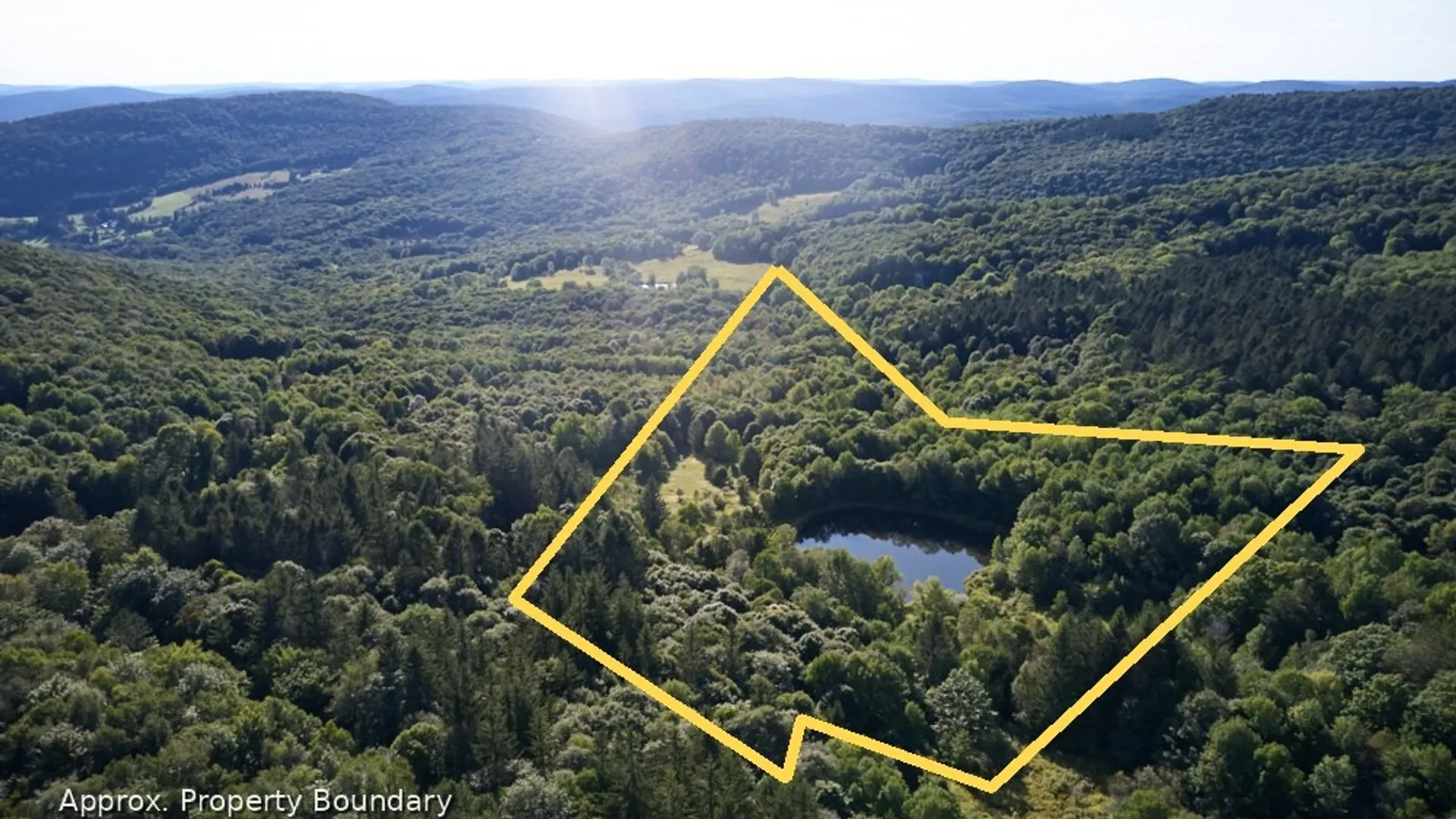Property at 1855 Davis Hollow Road, Andes, NY 13731 2