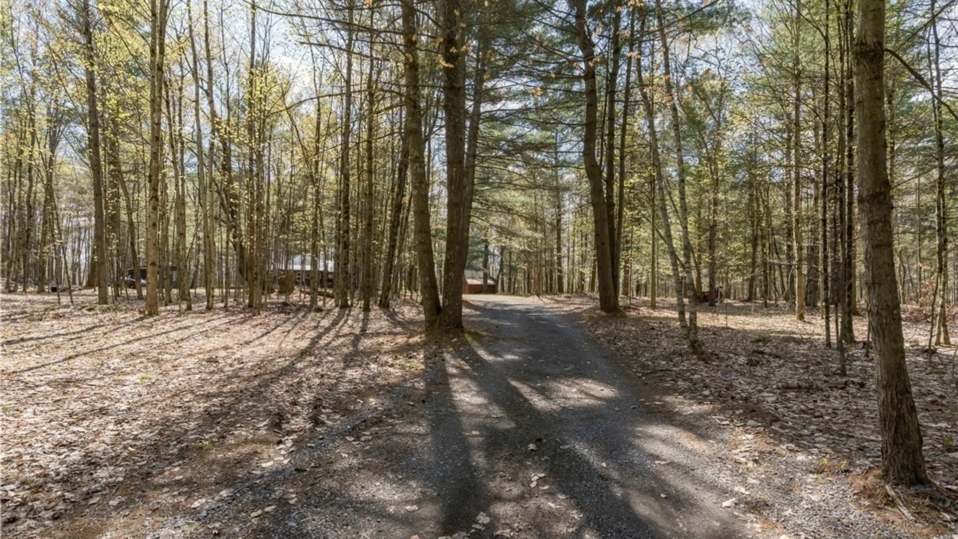 Property at 6325 Chases Lake Road, Greig, NY 13343 30