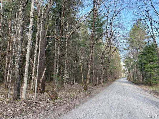Stormy Hill Road, Russia, NY 13324