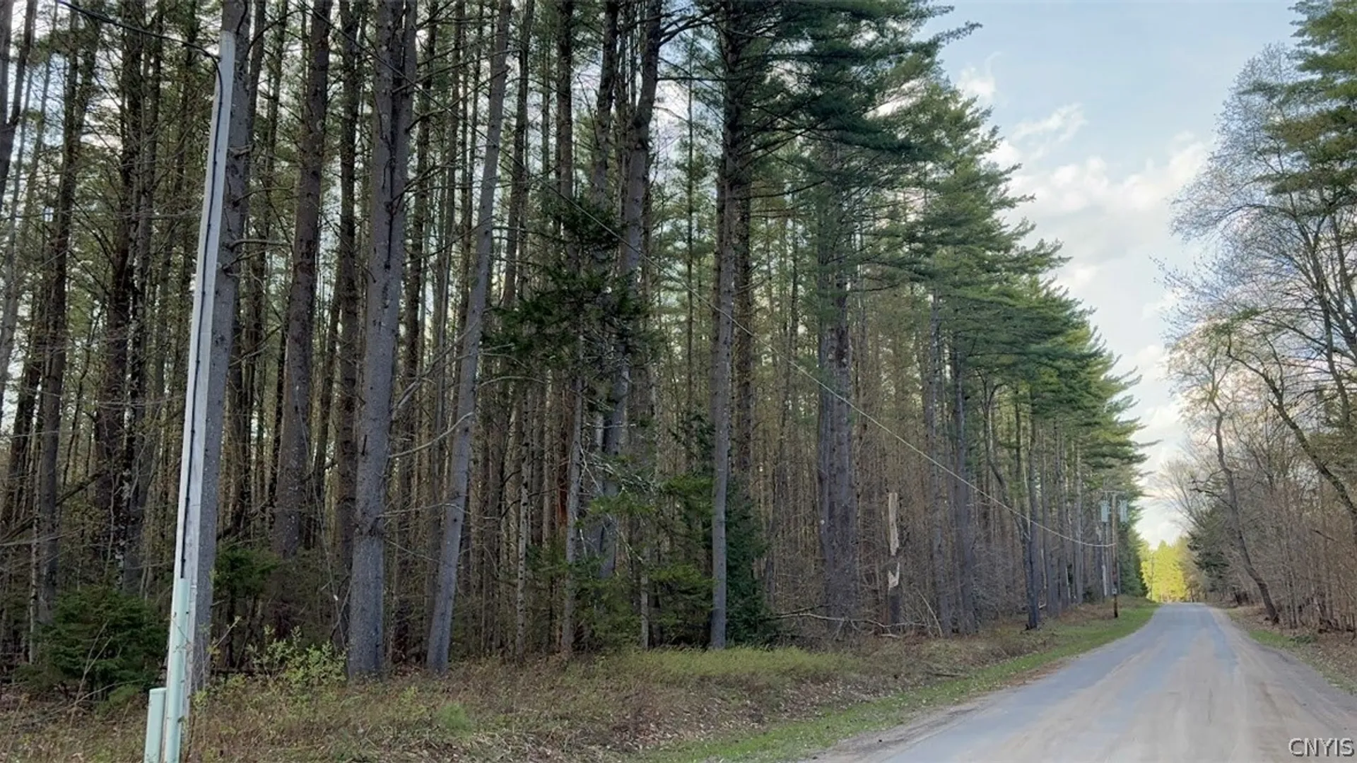 Property at Stormy Hill Road, Russia, NY 13324 2