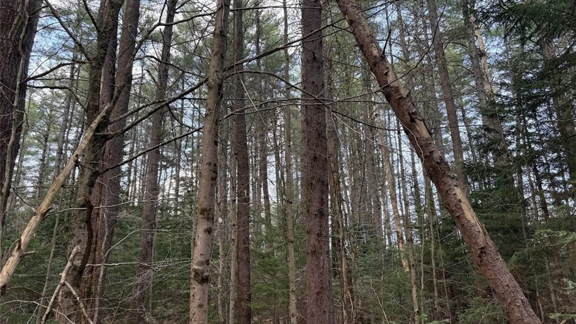 Property at Stormy Hill Road, Russia, NY 13324 5