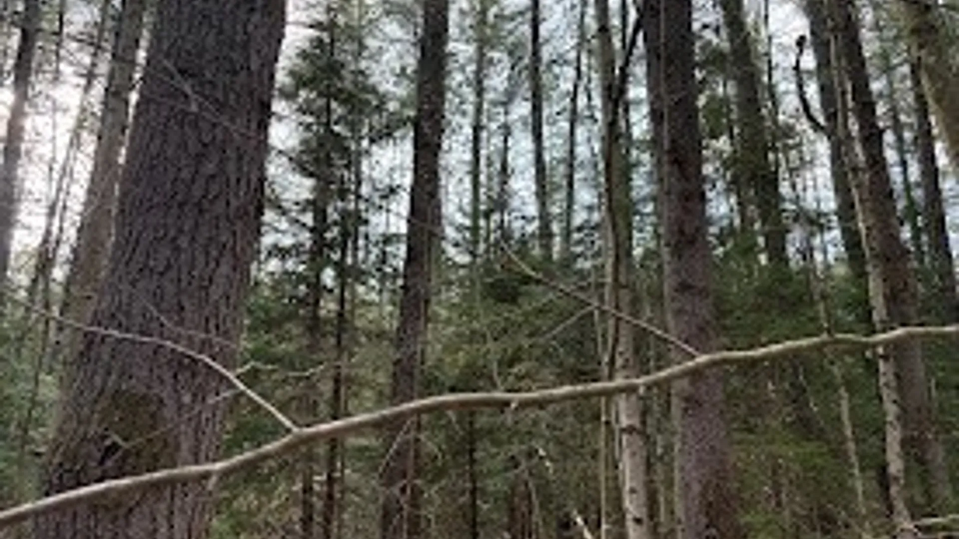 Property at Stormy Hill Road, Russia, NY 13324 6