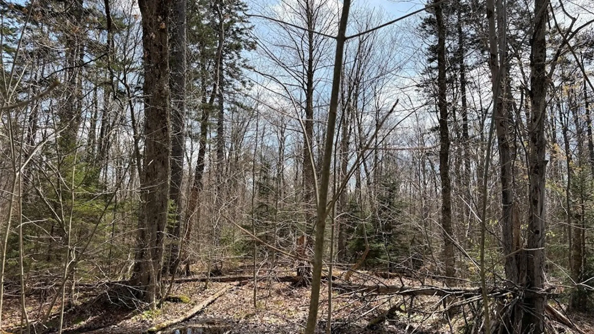 Property at 1438 Gregory Road, Osceola, NY 13316 2
