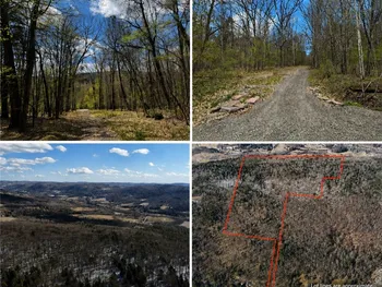 Property at 0 Patent Line Road, Sidney, NY 13838
