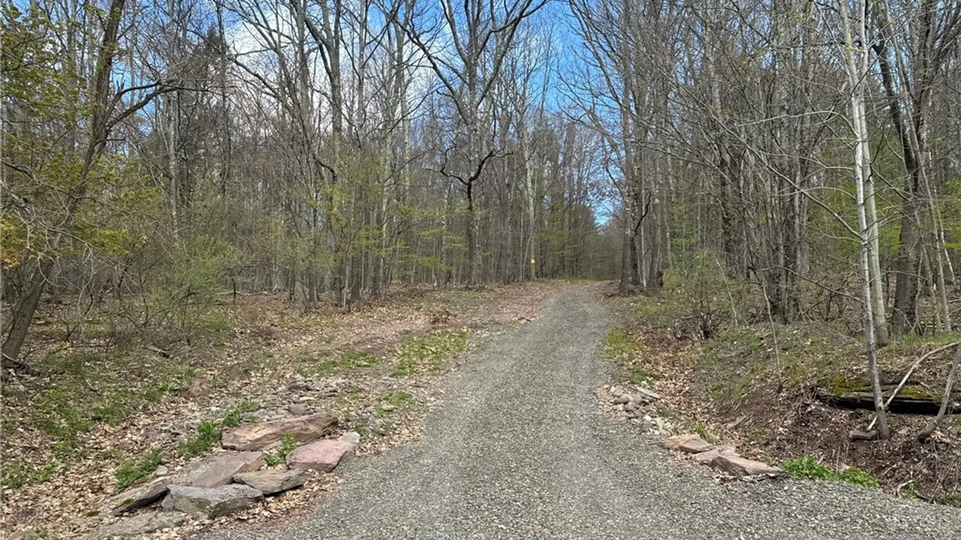 Property at 0 Patent Line Road, Sidney, NY 13838 2