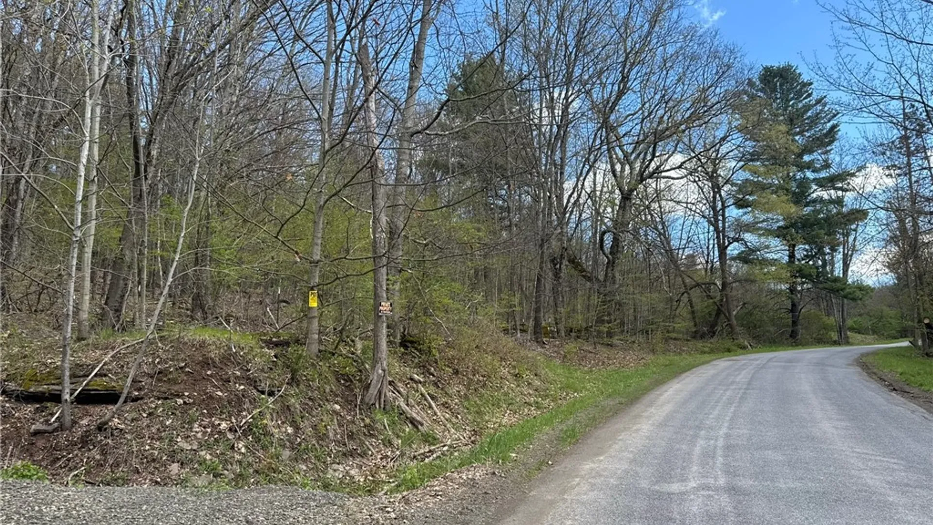 Property at 0 Patent Line Road, Sidney, NY 13838 45