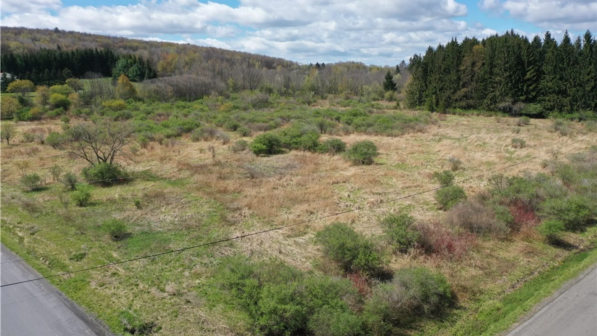 Property at State Road, Virgil, NY 13045 4