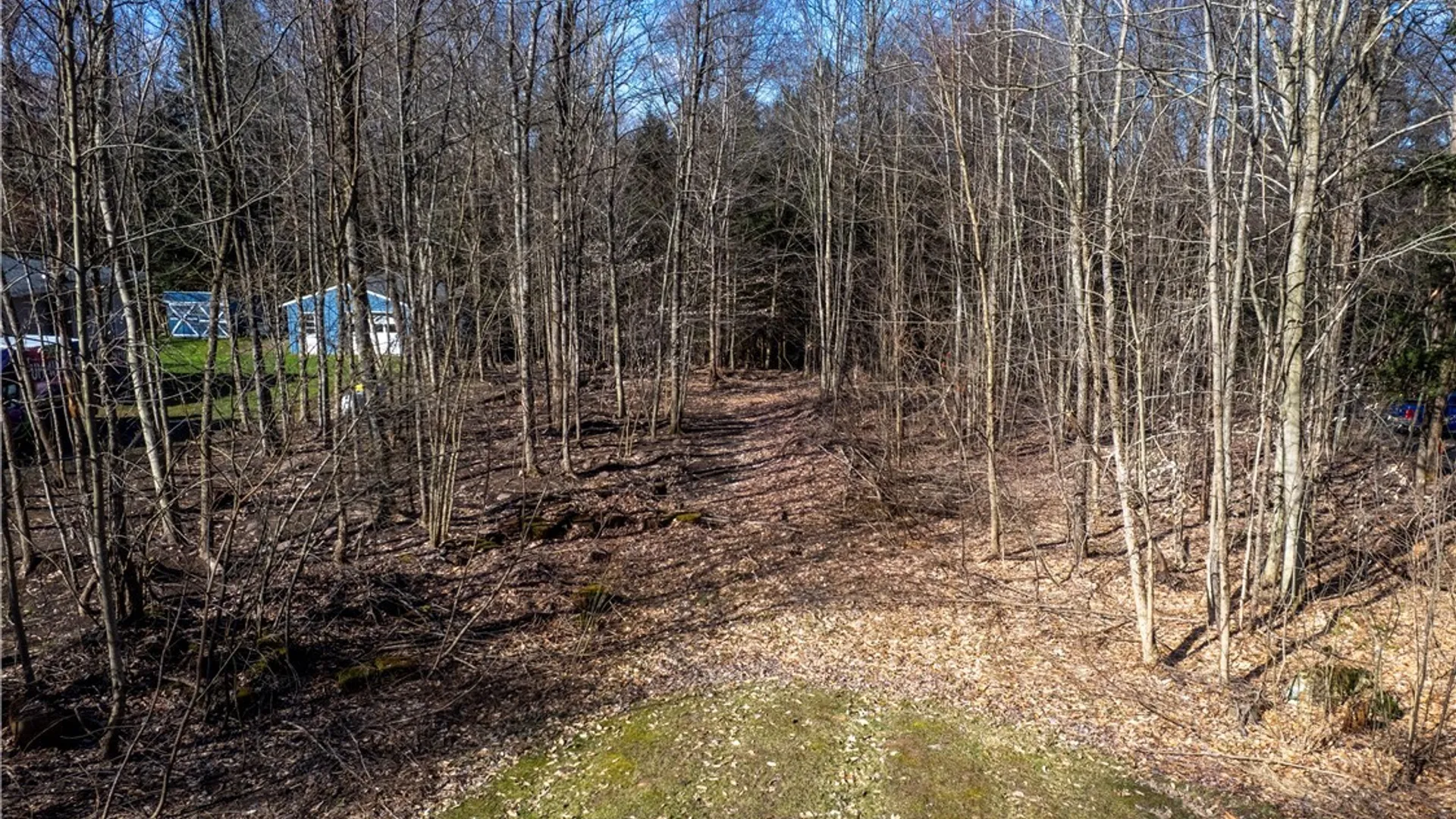 Property at Baum Road, Hastings, NY 13076 2