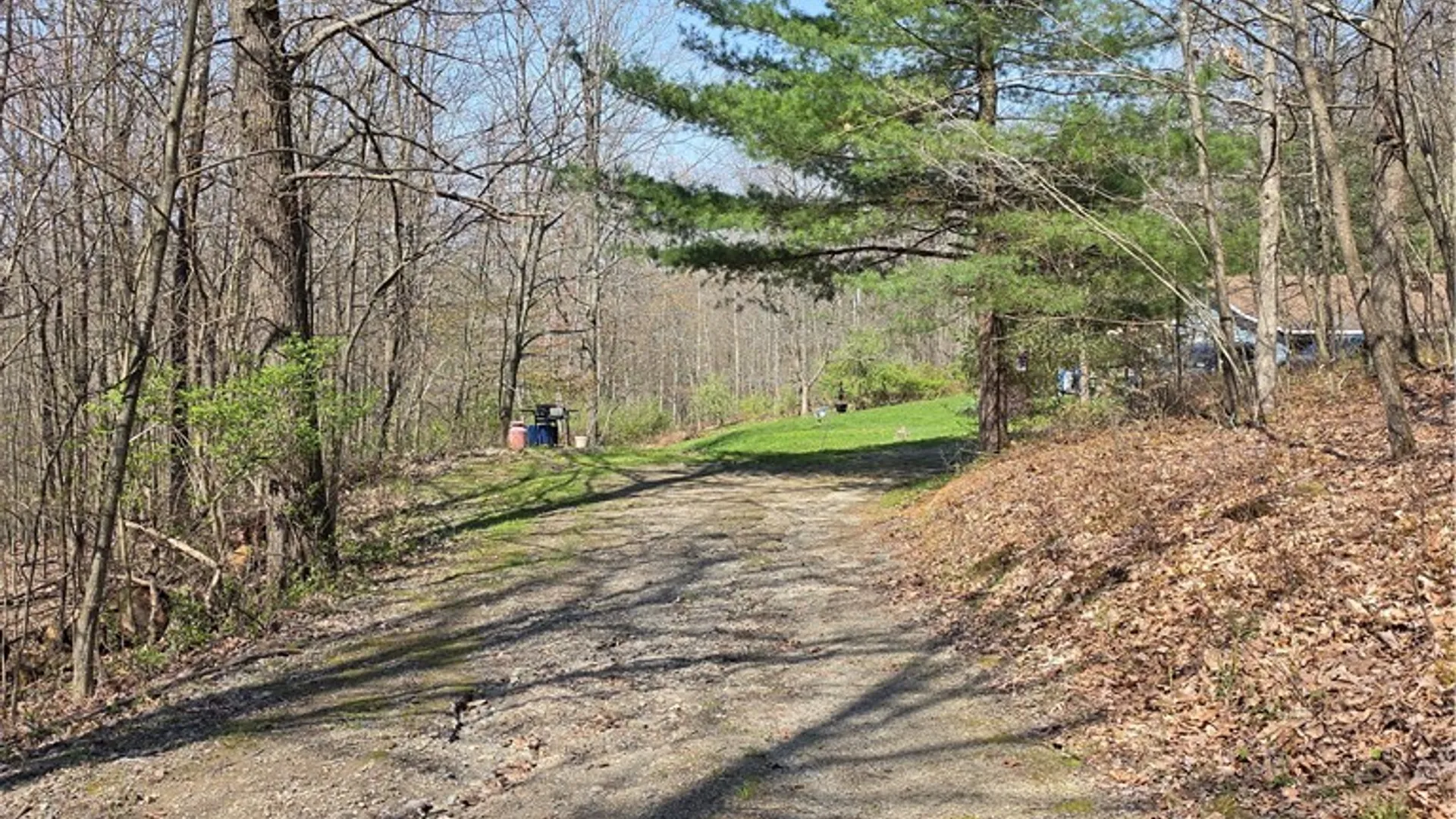 Property at 1926 Ranch Lane, Erwin, NY 14830 3