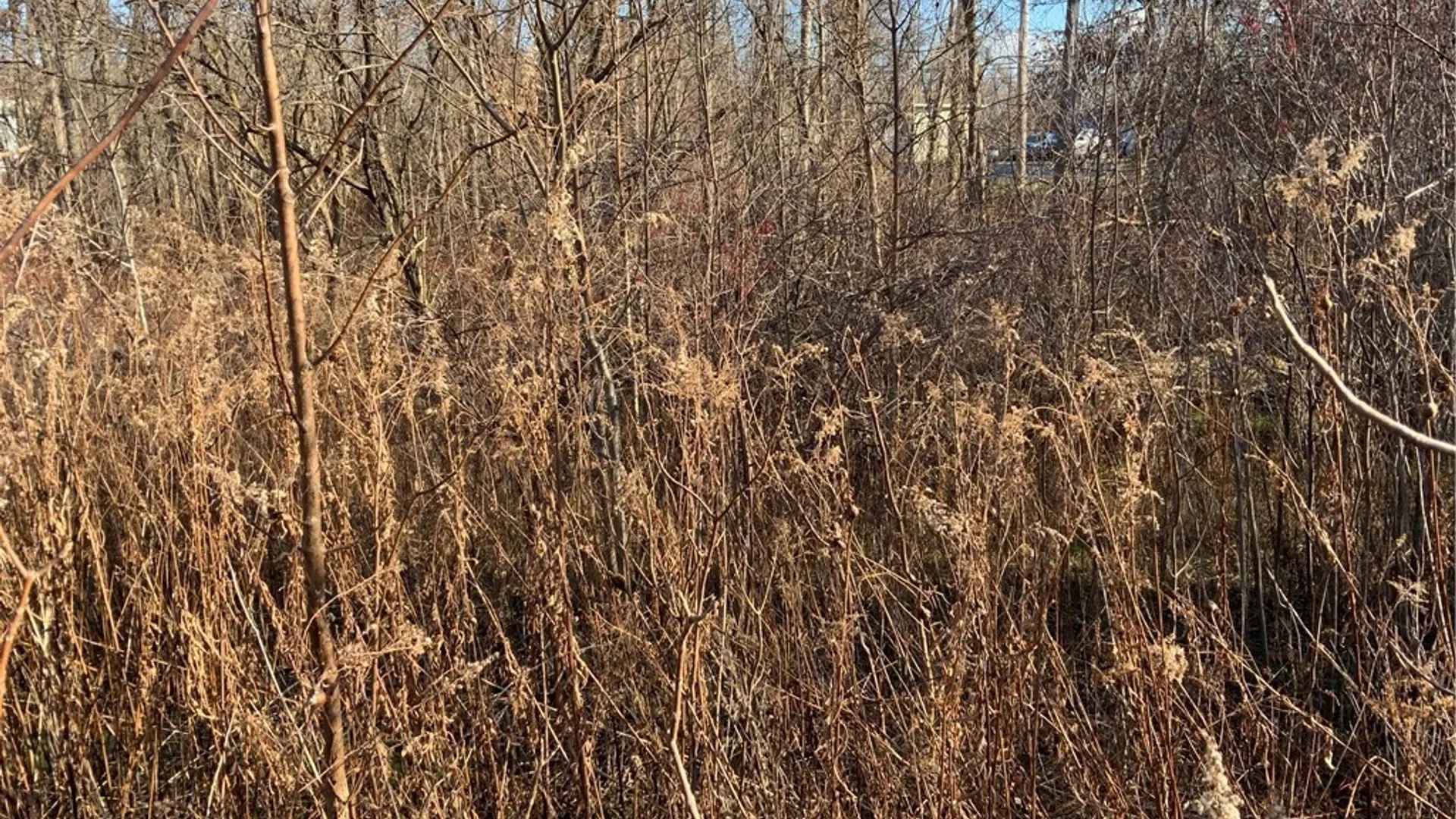 Property at N. Gravel, Ridgeway, NY 14103 7
