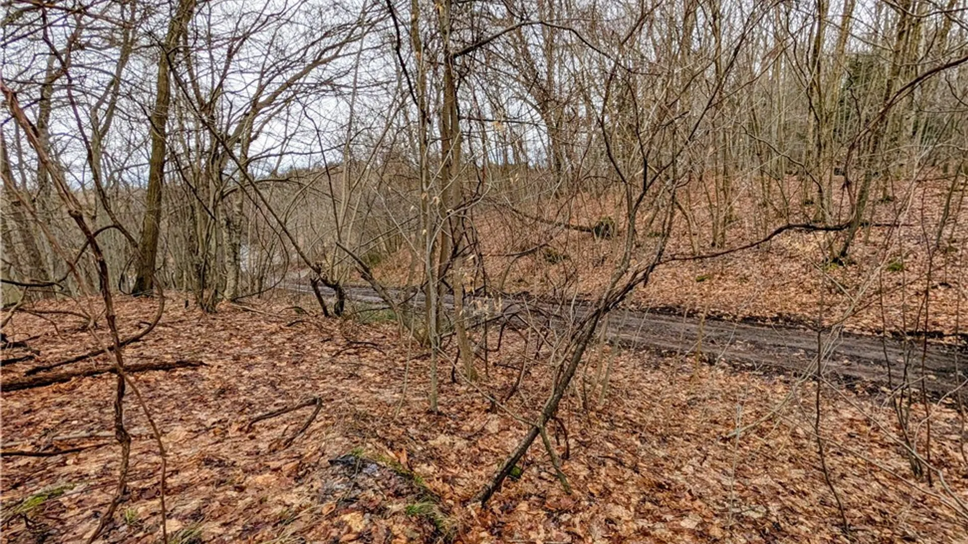 Property at 24 Worden Road, Minetto, NY 13126 2