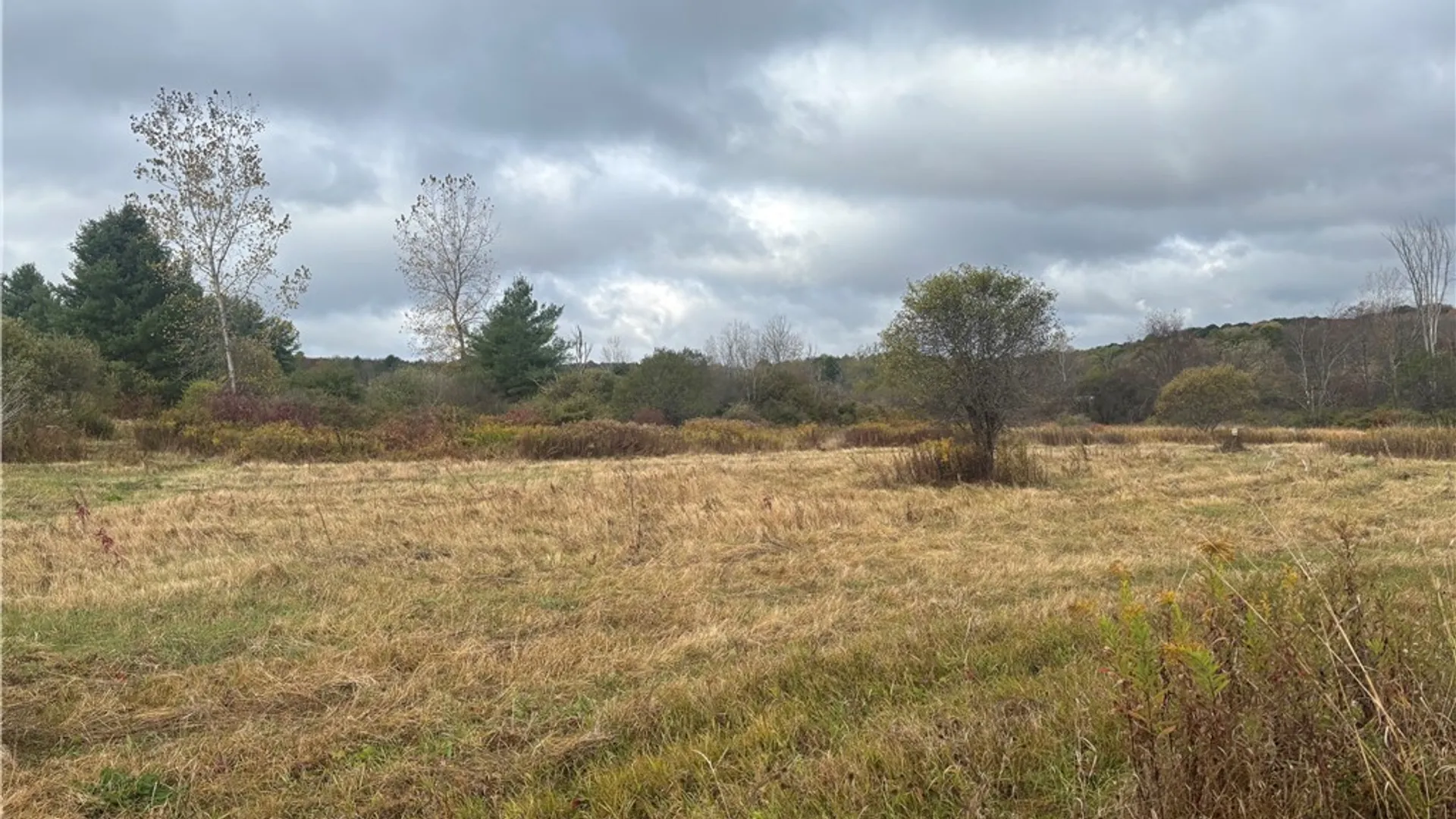 Property at 10087 Pratt Road, Centerville, NY 14744 2