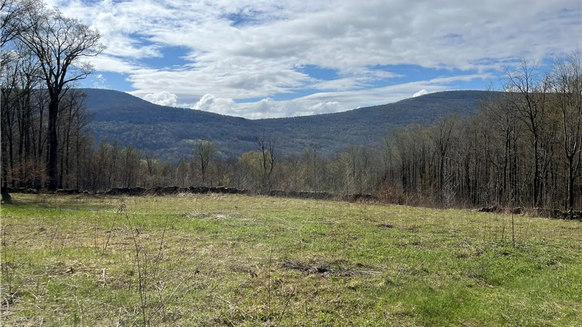 Property at Vega Mountain Rd, Roxbury, NY 12474 2