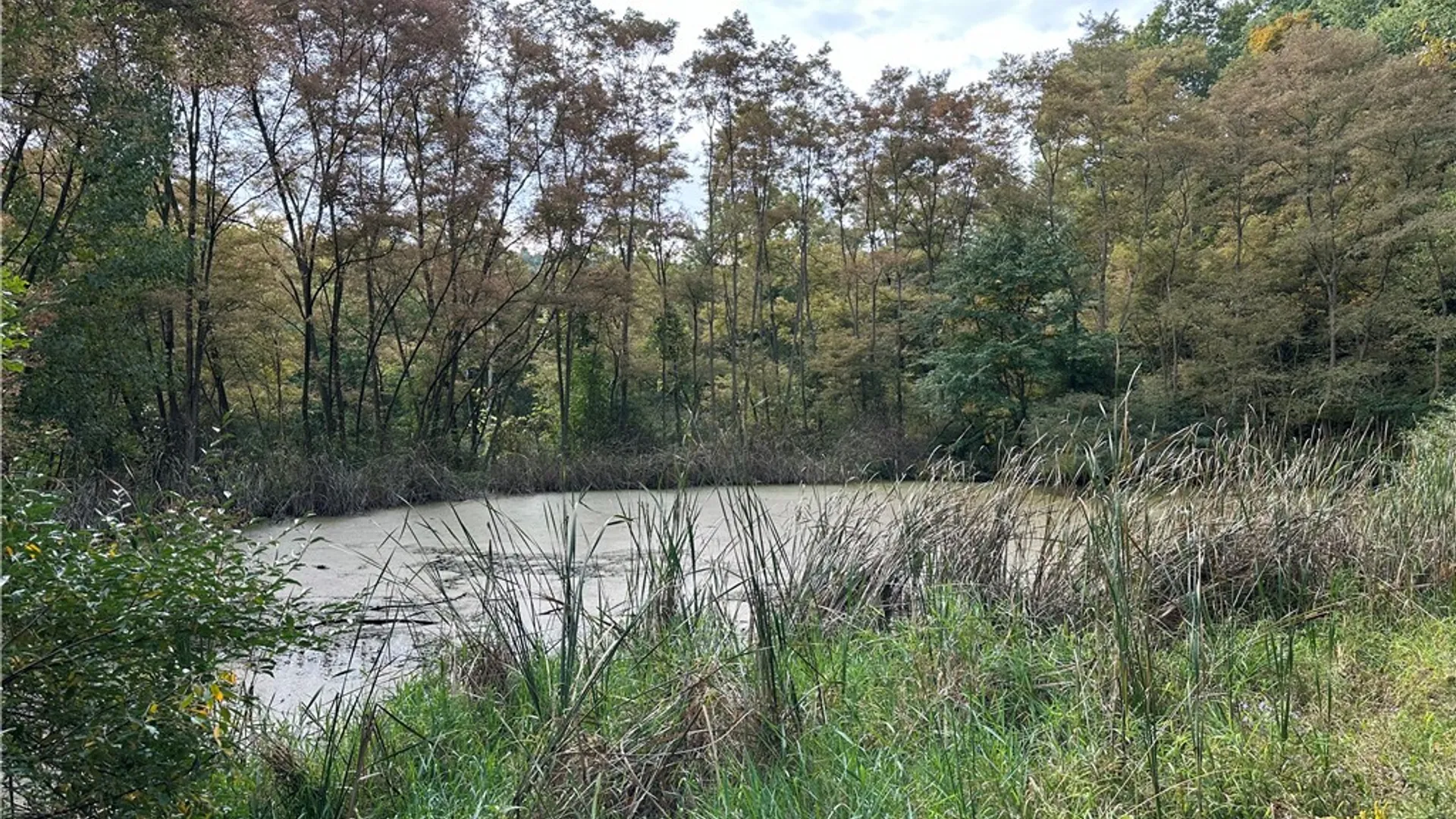 Property at 7960 Rt-415, Avoca, NY 14810 32