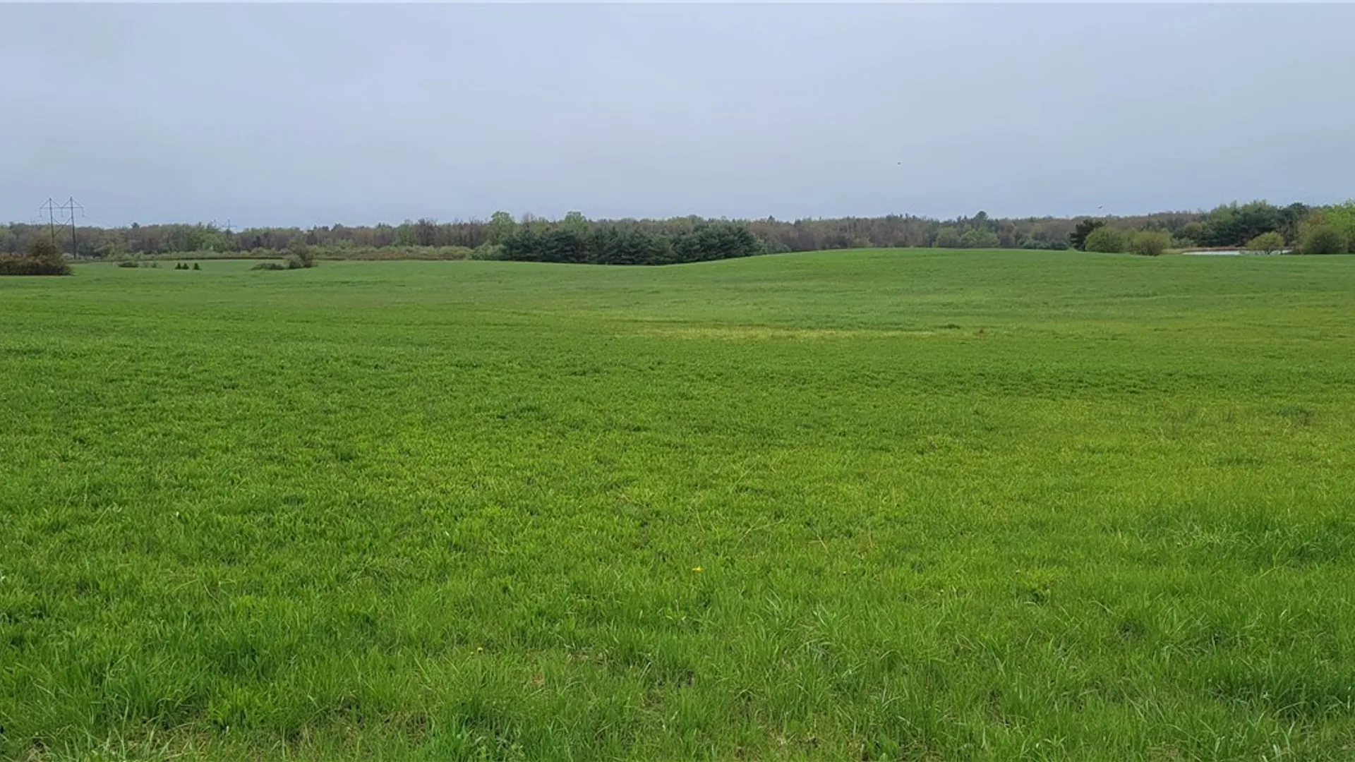 Property at 5 Acre Lot Darien Road, Colden, NY 14080 2