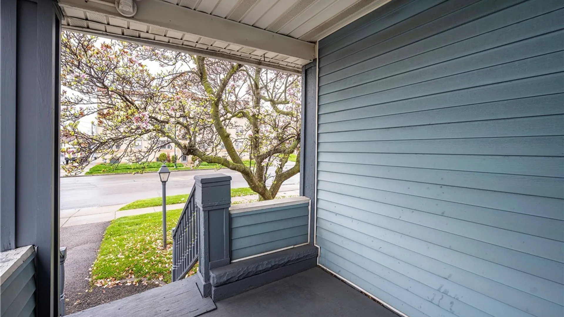 Property at 269 Colvin Avenue, Buffalo, NY 14216 3