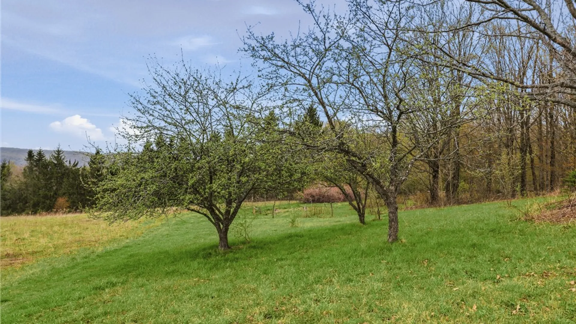 Property at 236 Brigham Road, Richford, NY 13835 9