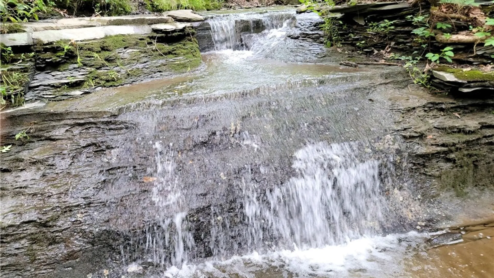 Property at 7 Red Cedar Falls Lane, Starkey, NY 14837 5