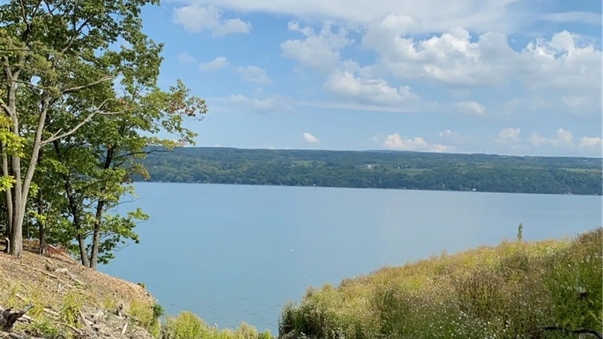Property at 7 Red Cedar Falls Lane, Starkey, NY 14837 7