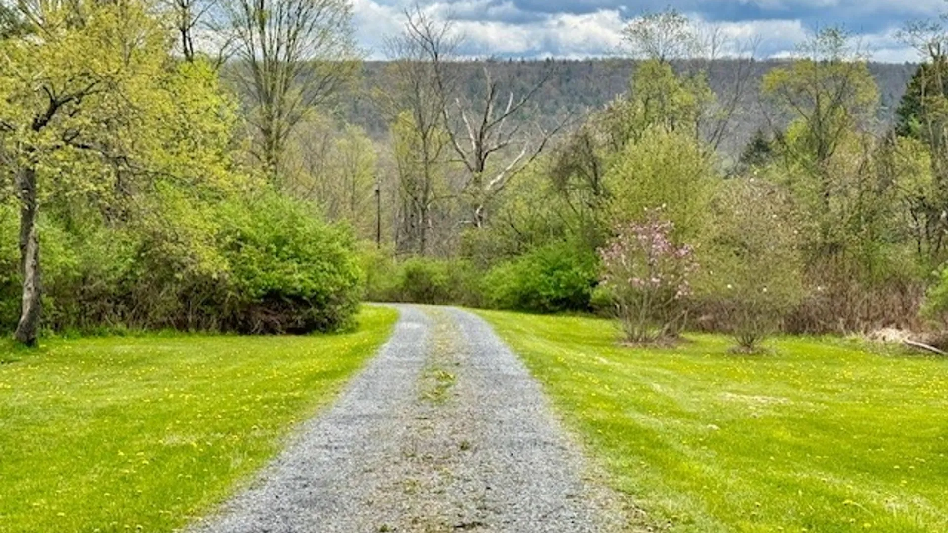 Property at 2190 Danby Road, Danby, NY 13864 10