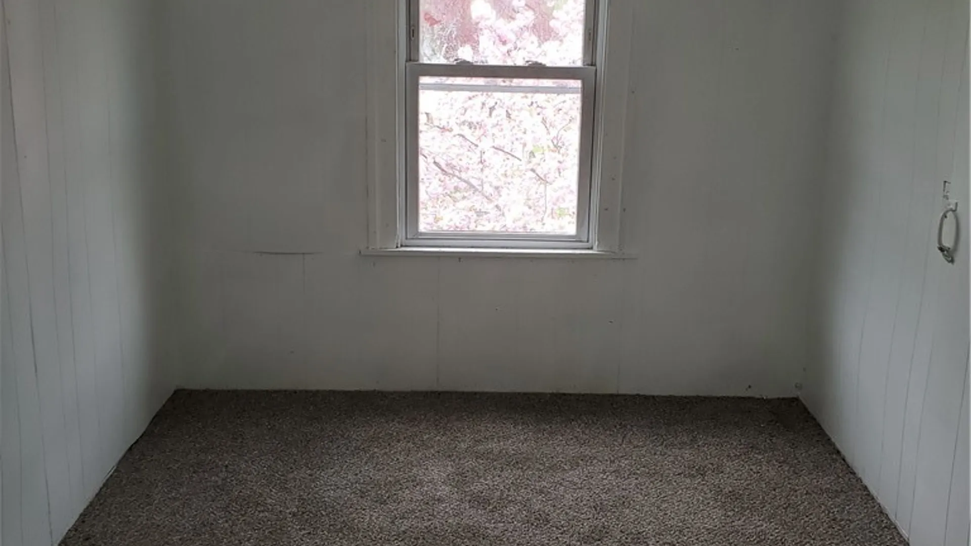 Property at 23 Wolff Street, Rochester, NY 14606 17