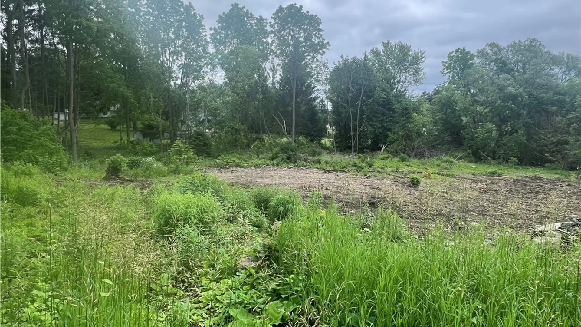 Property at Franklin Street, Homer, NY 13077 3