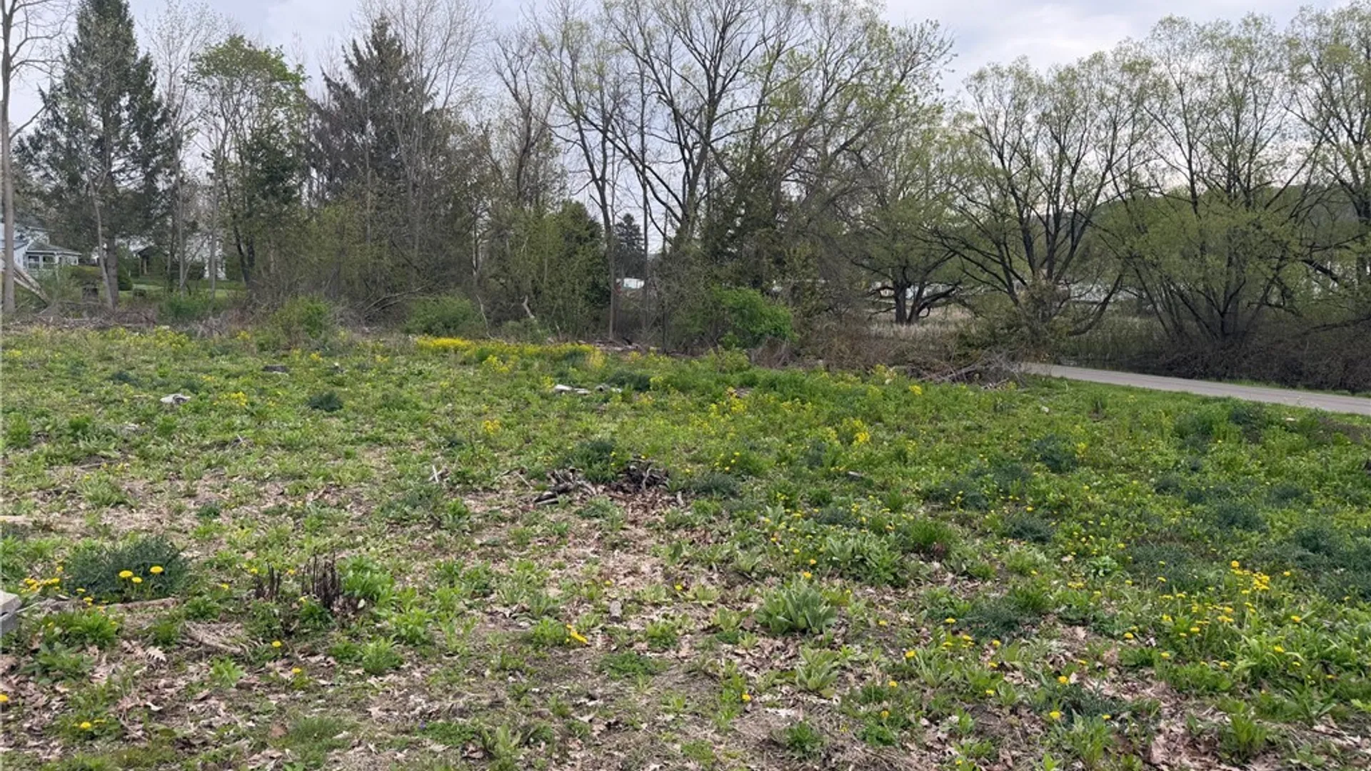 Property at Franklin Street, Homer, NY 13077 5