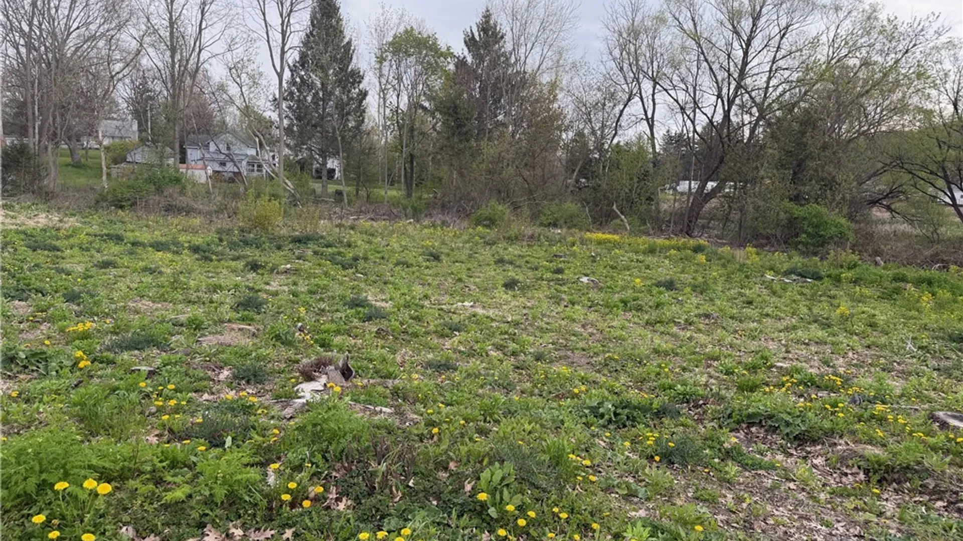 Property at Franklin Street, Homer, NY 13077 6