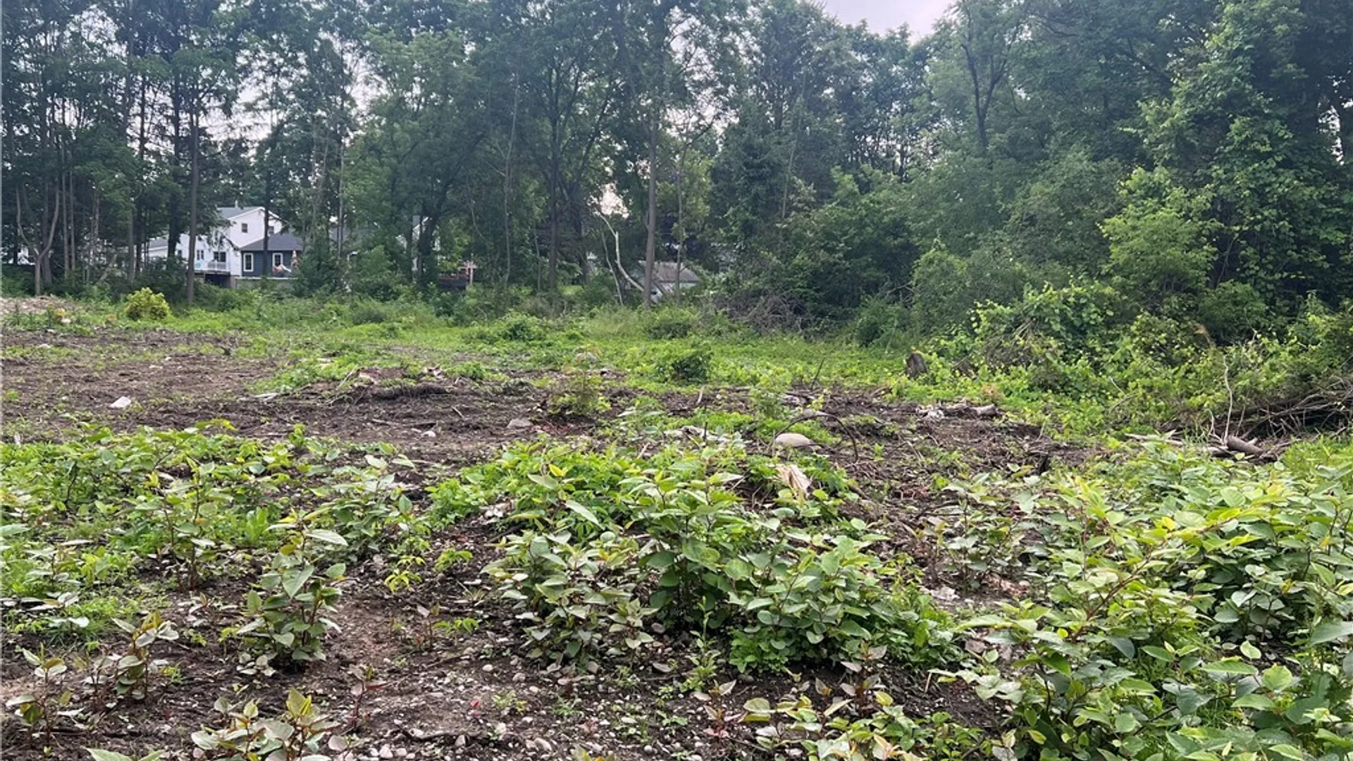 Property at Franklin Street, Homer, NY 13077 3