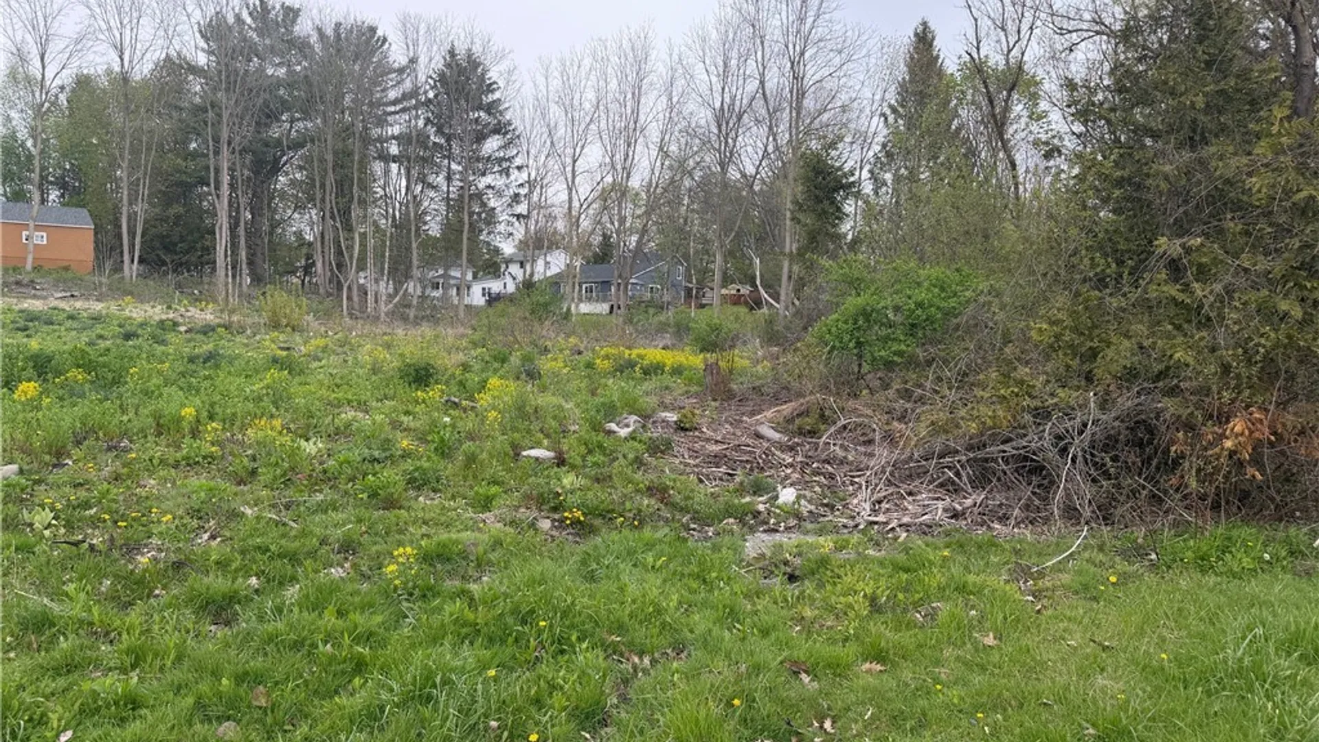 Property at Franklin Street, Homer, NY 13077 4