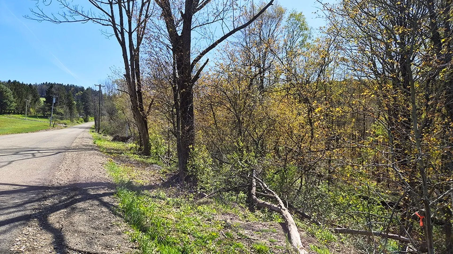 Property at VL Windsor Road, Mansfield, NY 14779 14