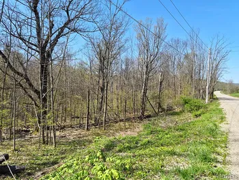 Property at VL Windsor Road, Mansfield, NY 14779