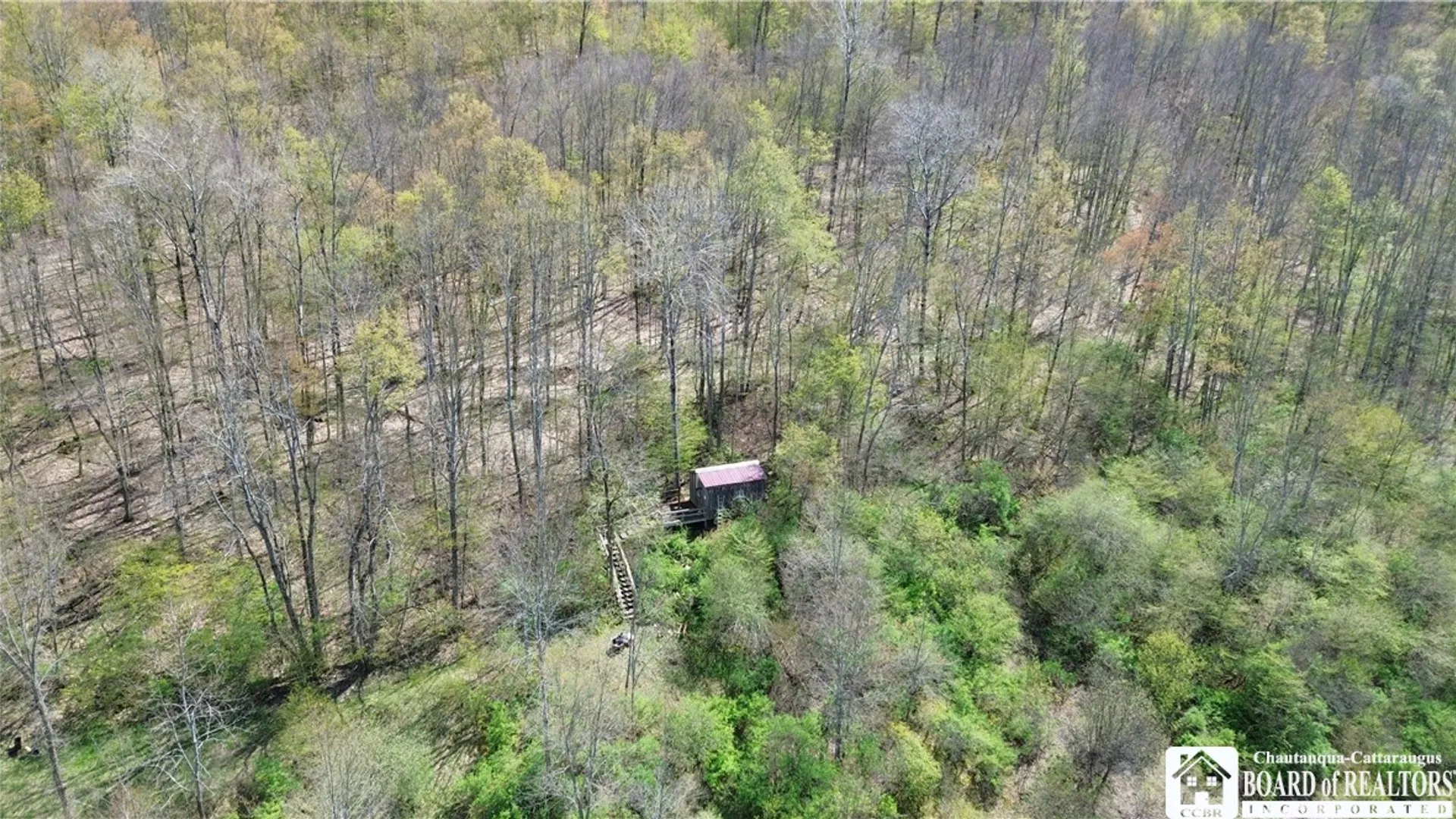 Property at 0 Co Rd 6 AKA Haskell Rd., Clarksville, NY 12041 10