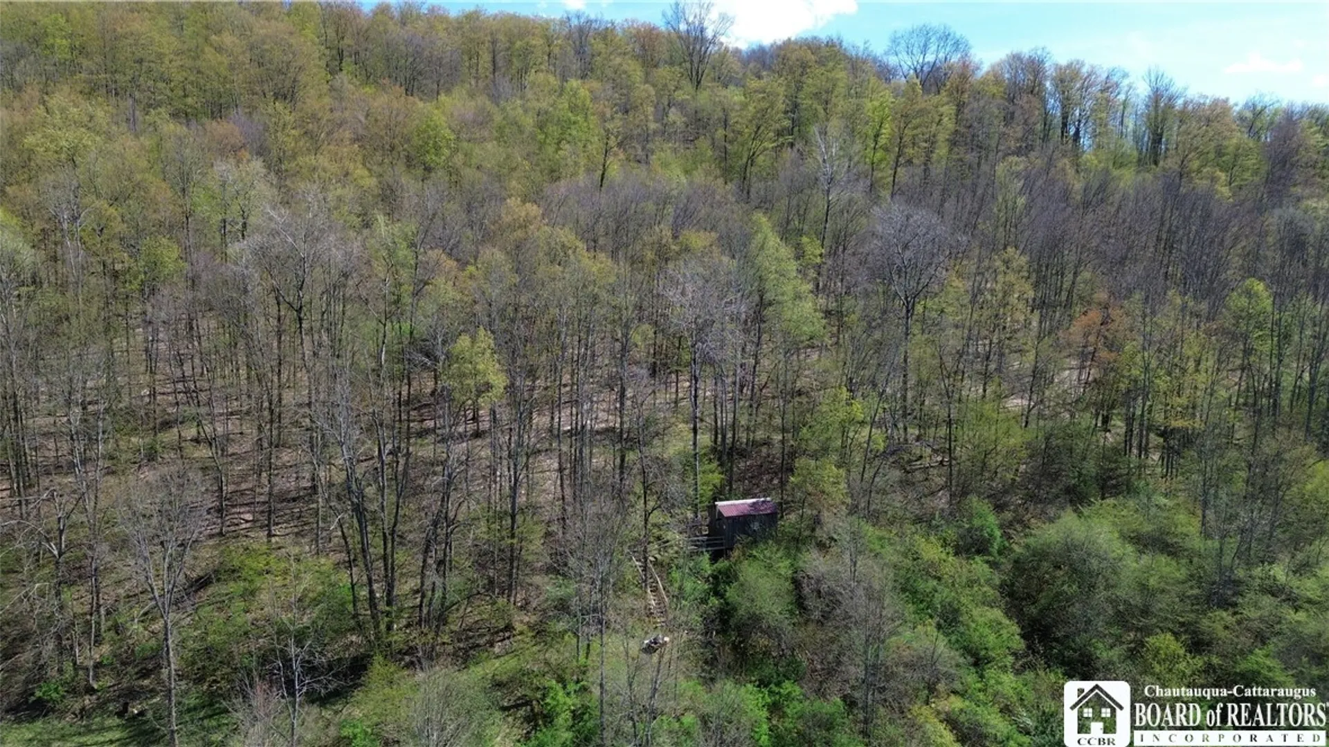 Property at 0 Co Rd 6 AKA Haskell Rd., Clarksville, NY 12041 14