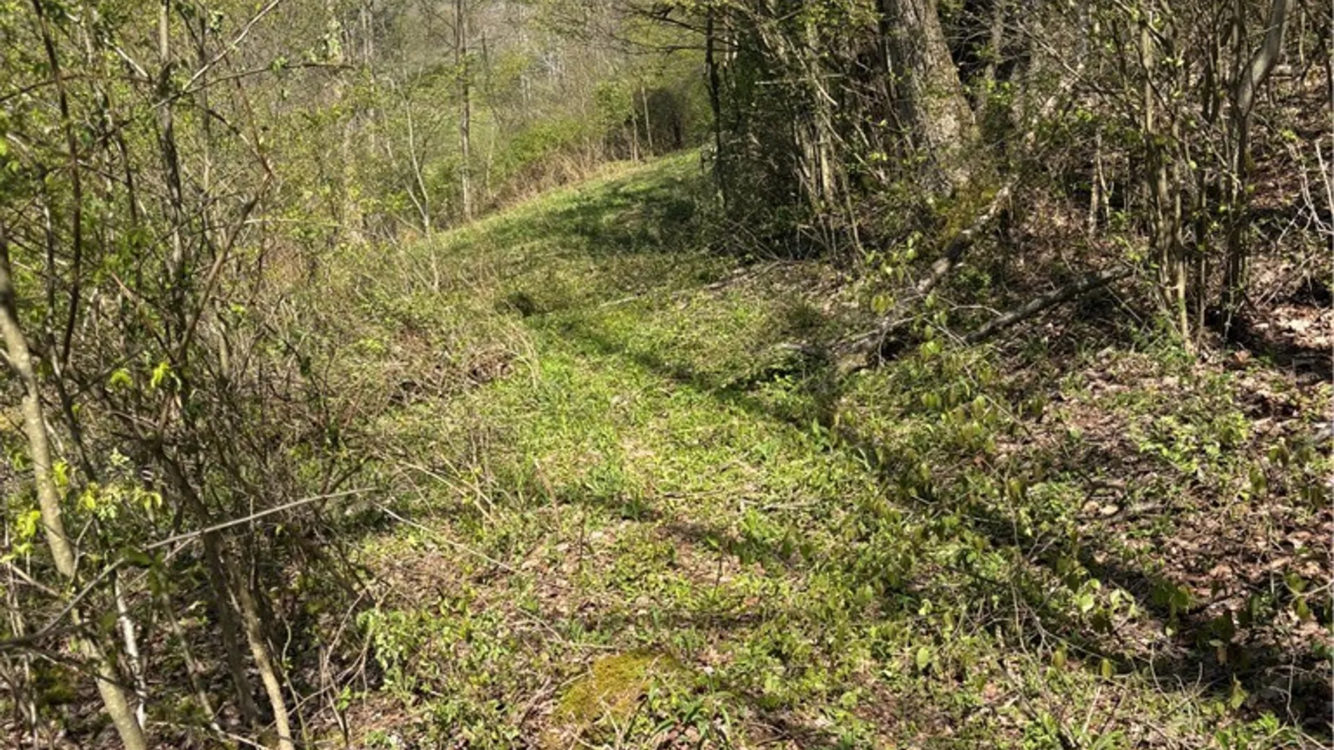 Property at 0 Co Rd 6 AKA Haskell Rd., Clarksville, NY 12041 18