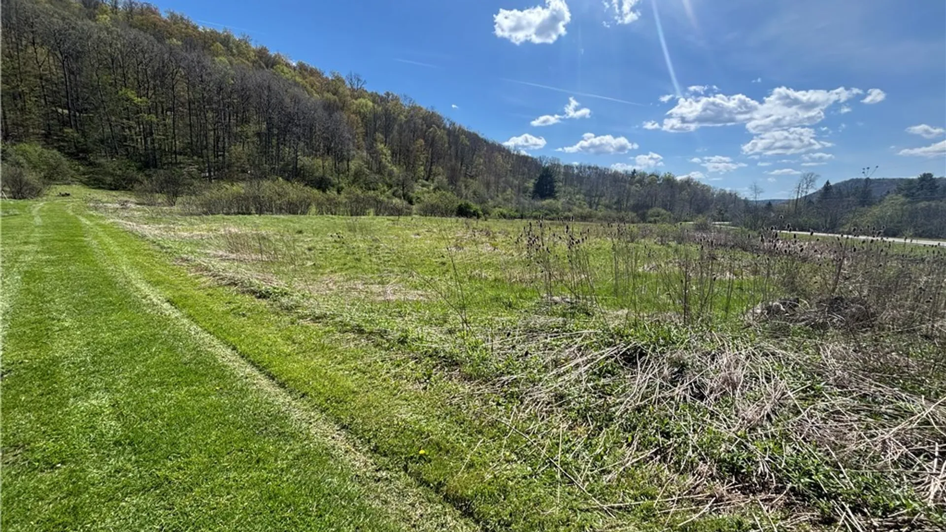 Property at 0 Co Rd 6 AKA Haskell Rd., Clarksville, NY 12041 19
