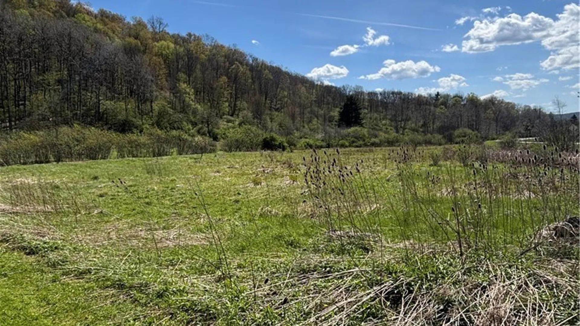 Property at 0 Co Rd 6 AKA Haskell Rd., Clarksville, NY 12041 21