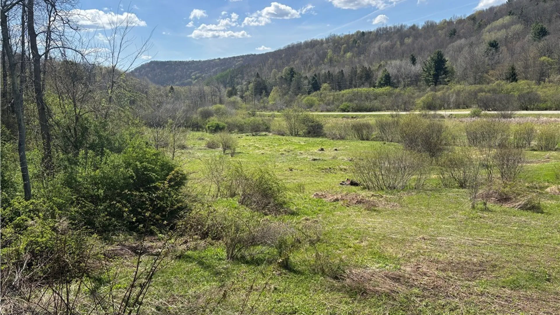 Property at 0 Co Rd 6 AKA Haskell Rd., Clarksville, NY 12041 23