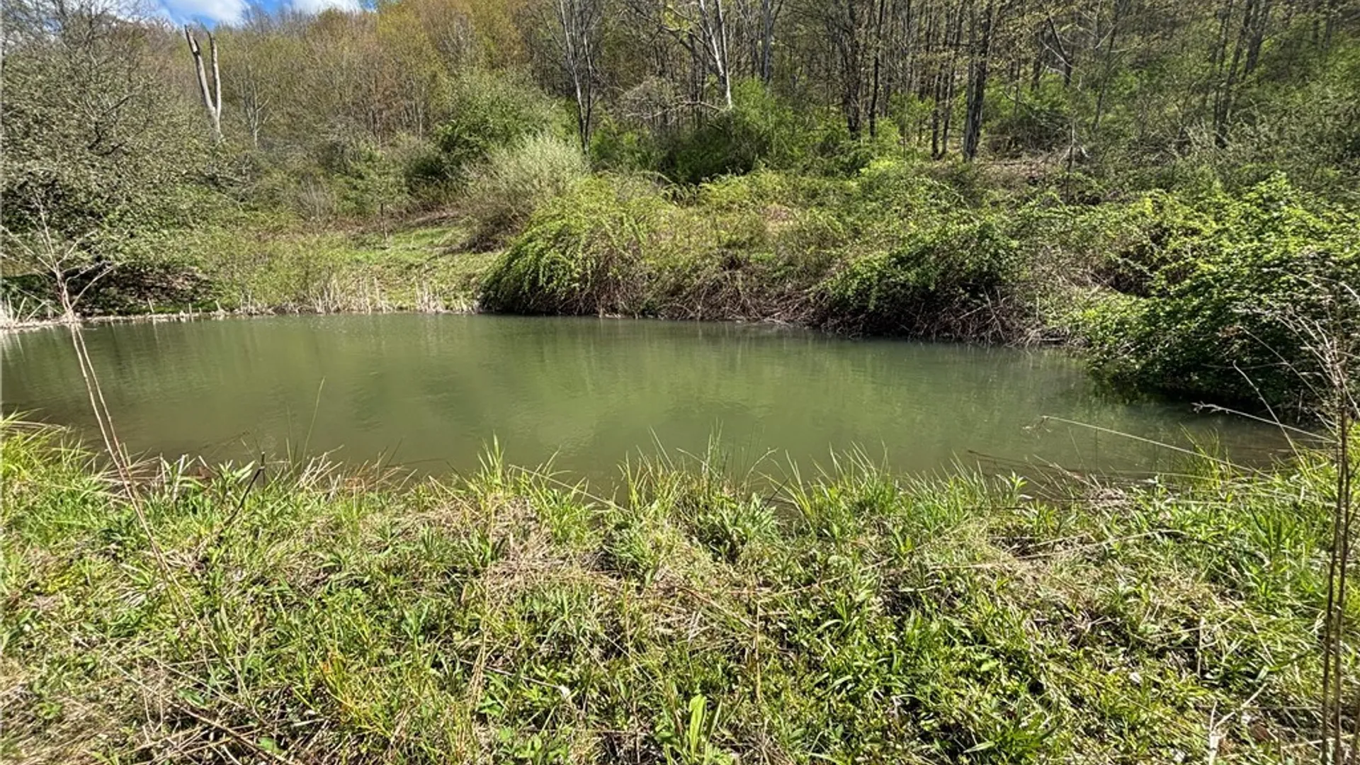 Property at 0 Co Rd 6 AKA Haskell Rd., Clarksville, NY 12041 24