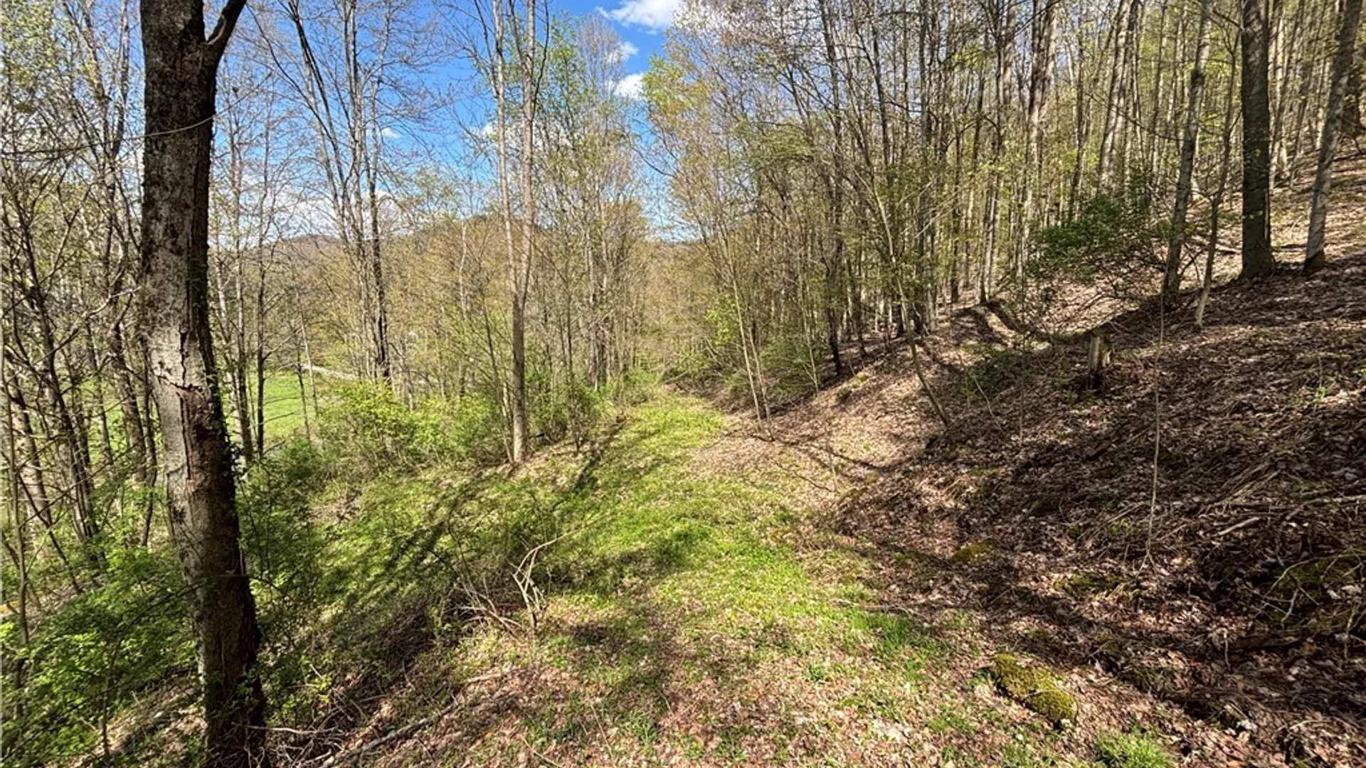 Property at 0 Co Rd 6 AKA Haskell Rd., Clarksville, NY 12041 35