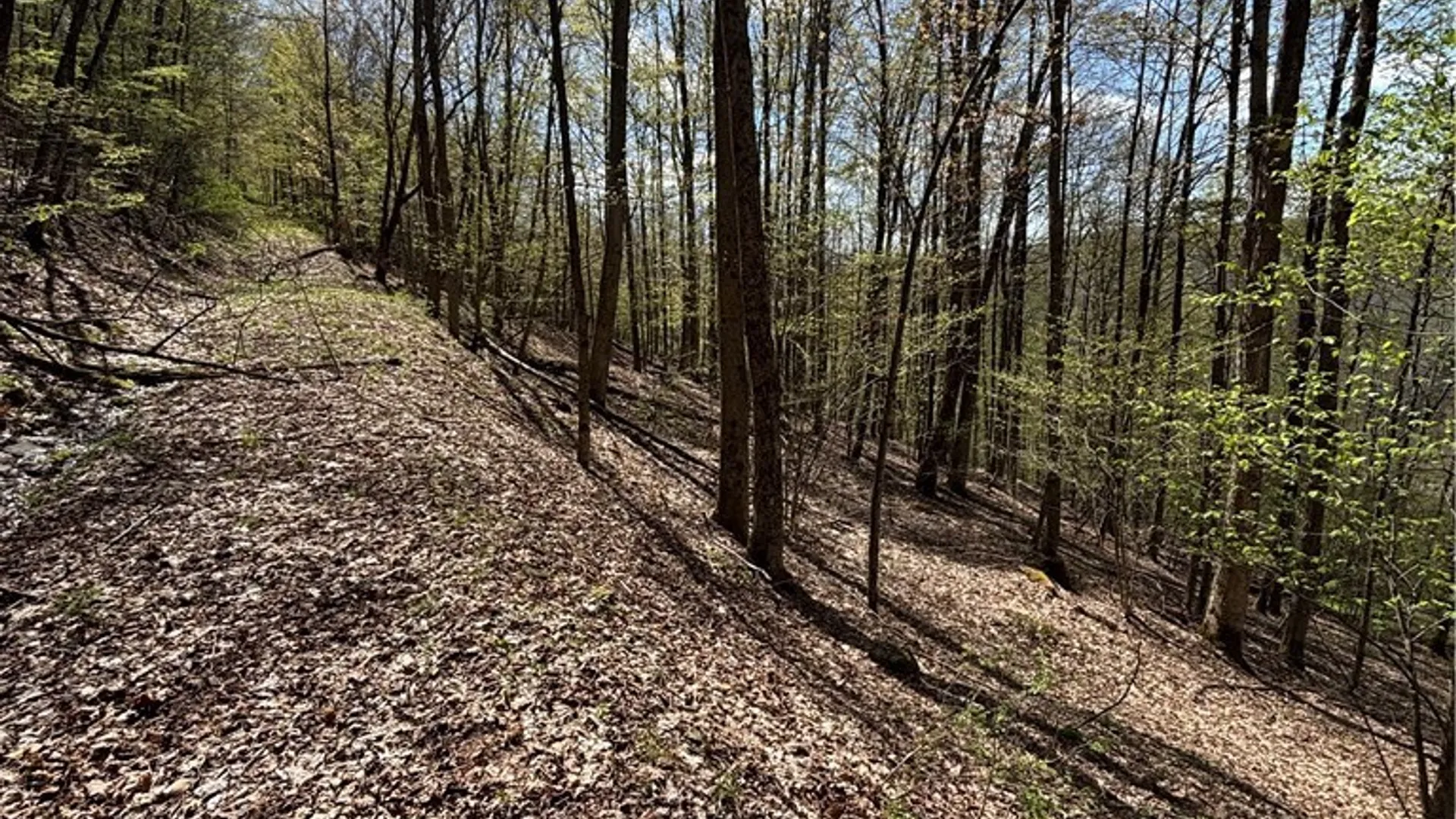 Property at 0 Co Rd 6 AKA Haskell Rd., Clarksville, NY 12041 36