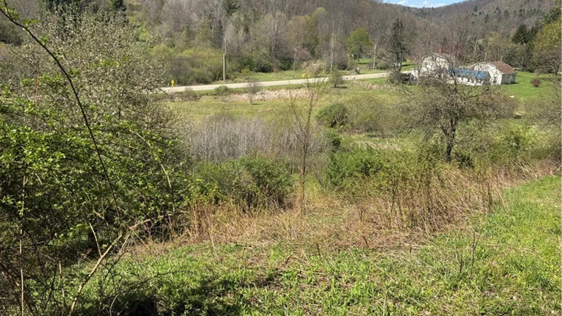 Property at 0 Co Rd 6 AKA Haskell Rd., Clarksville, NY 12041 42