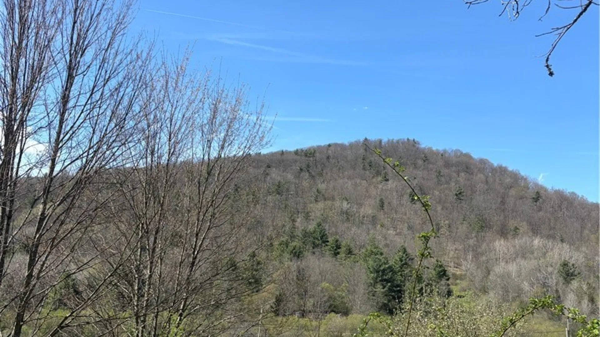 Property at 0 Co Rd 6 AKA Haskell Rd., Clarksville, NY 12041 43