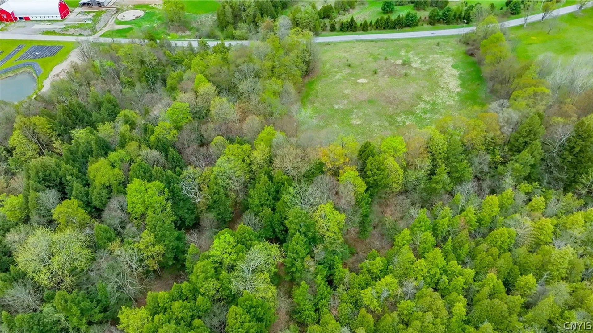 Property at Shephard Road, Fenner, NY 13035 12